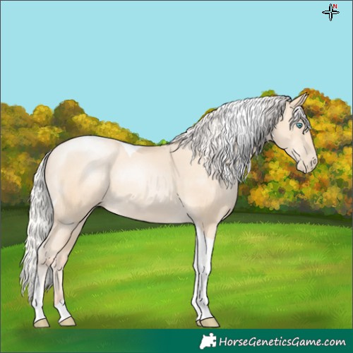 Horse Color:Silver Classic Cream Champagne Pearl Tobiano