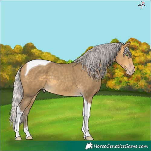 Horse Color:Silver Sable Cream Champagne Tobiano 