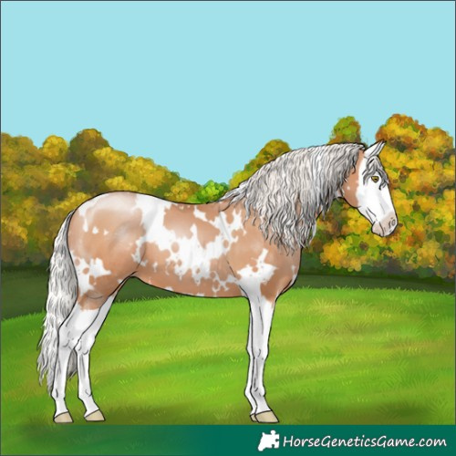 Horse Color:White Spotted Silver Brown Pearl Splash 
