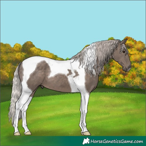 Horse Color:Silver Black Tobiano