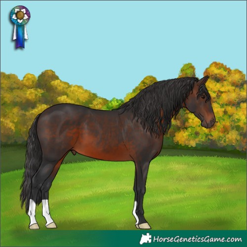 Horse Color:Brown 