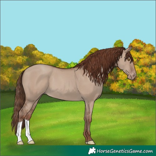 Horse Color:Classic Champagne Dun Varnish