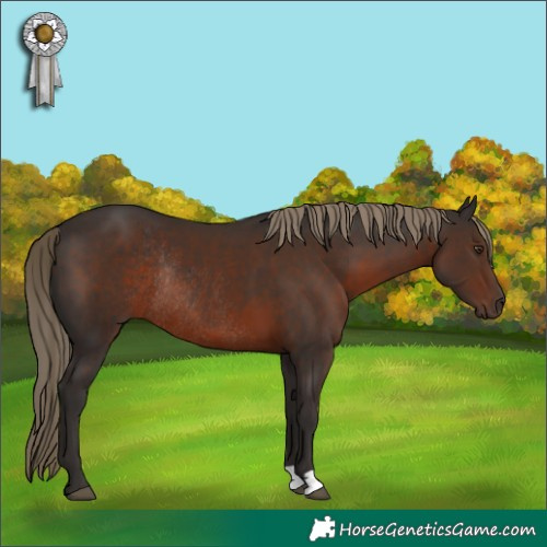 Horse Color:Liver Chestnut Rabicano