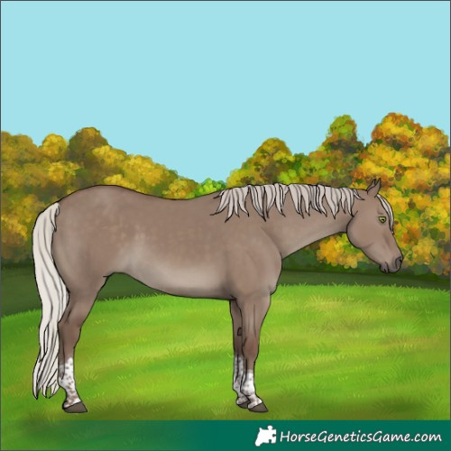 Horse Color:Silver Grullo Tobiano 