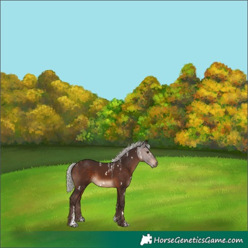 Horse Color:Powder White White Spotted Silver Brown 