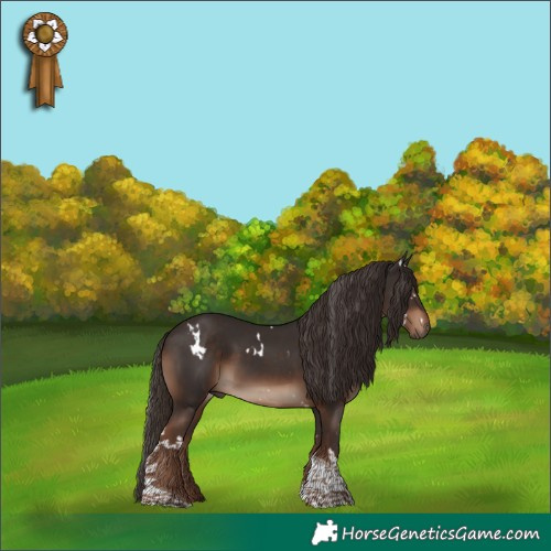 Horse Color:White Spotted Liver Chestnut Tobiano 