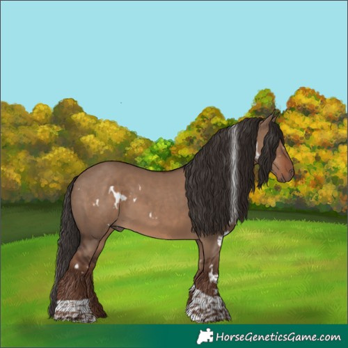 Horse Color:White Spotted Liver Red Dun Tobiano 