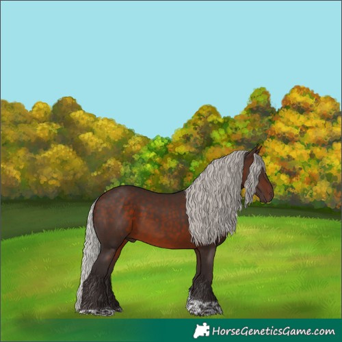 Horse Color:Silver Brown Tobiano 