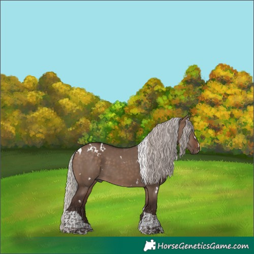 Horse Color:White Spotted Silver Brown Dun Tobiano 