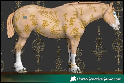 Horse Color:Gold Champagne Splash 