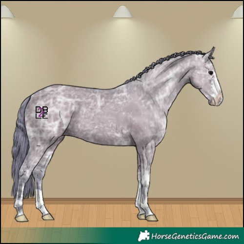 Horse Color:Watercolor Chocolate Grullo Ice