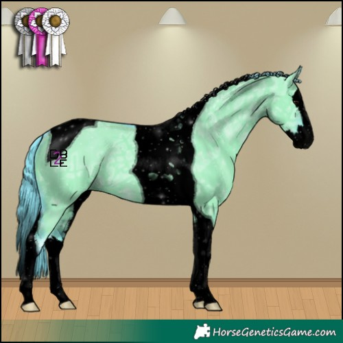 Horse Color:Void Watercolor Grullo Ice Splash Tobiano 