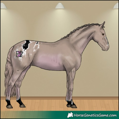 Horse Color:Watercolor Chestnut Varnish