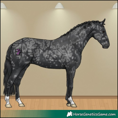 Horse Color:Black Ice 