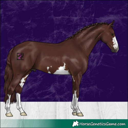 Horse Color:Gray Chocolate Brown