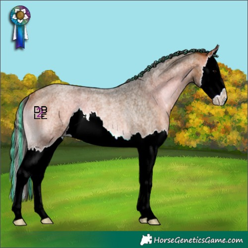 Horse Color:Painted Bay Roan Onyx Splash Rabicano 