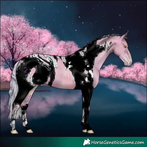 Horse Color:ERROR: UNKNOWN ANOMALY