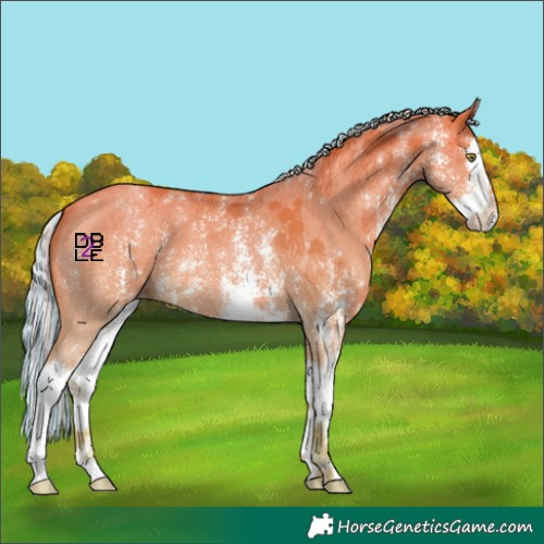 Horse Color:Platinum Painted Silver Amber Champagne Sabino Splash Varnish