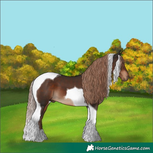 Horse Color:Liver Chestnut Tobiano