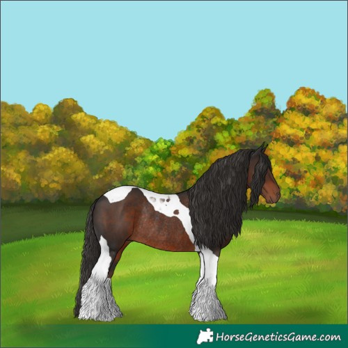 Horse Color:Liver Chestnut Tobiano Rabicano 