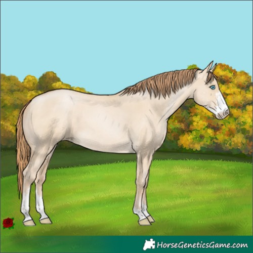Horse Color:Buckskin Pearl Dun Sabino