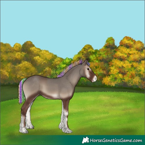 Horse Color:Painted Silver Blue Onyx Appaloosa 