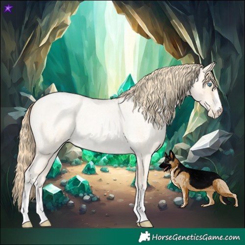Horse Color:Buckskin Roan Pearl  and Buckskin Roan Pearl 