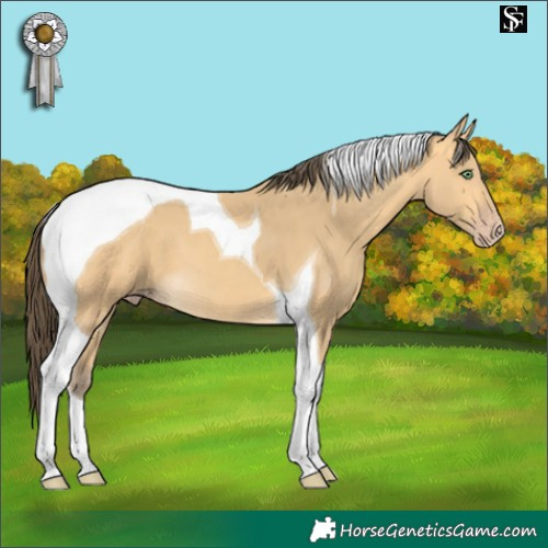 Horse Color:Amber Cream Champagne Tobiano 