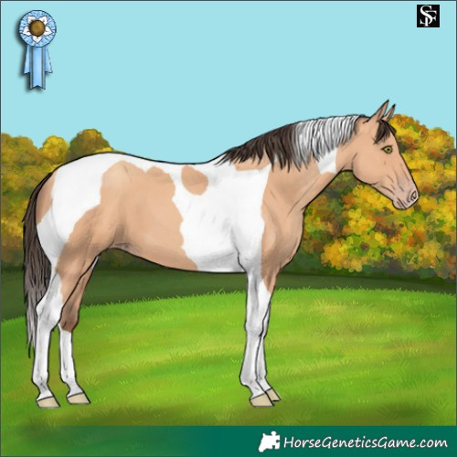 Horse Color:Amber Champagne Tobiano
