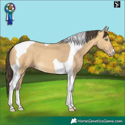 Horse Color:Amber Cream Champagne Tobiano 