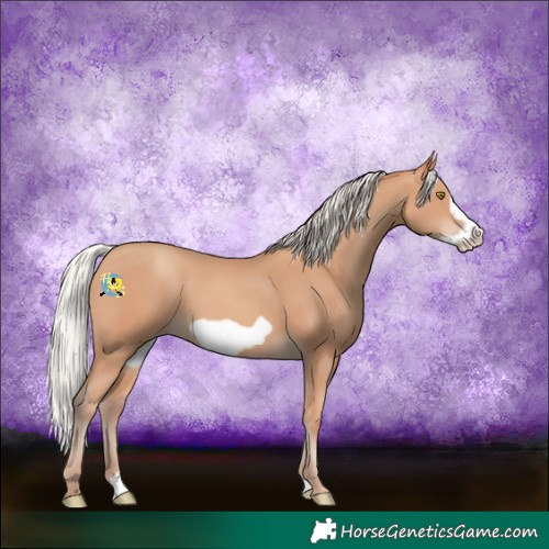Horse Color:Silver Amber Champagne Frame 