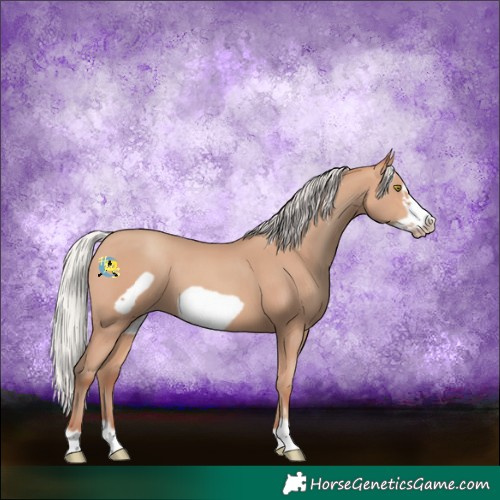 Horse Color:Silver Amber Champagne Frame