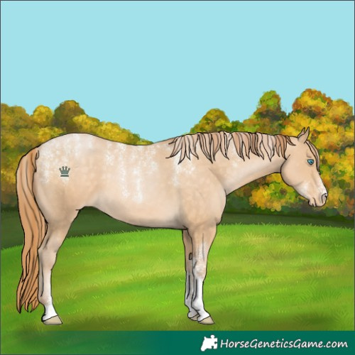 Horse Color:Powder White Buckskin Pearl Varnish