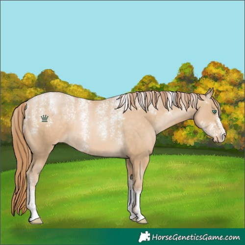 Horse Color:Powder White Smoky Black Pearl Varnish 