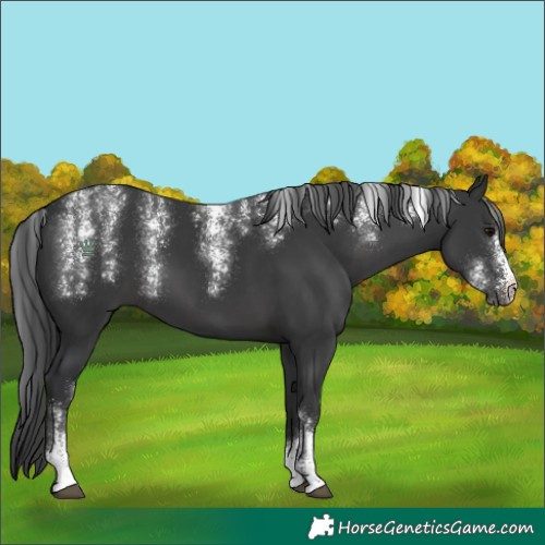 Horse Color:Powder White Black