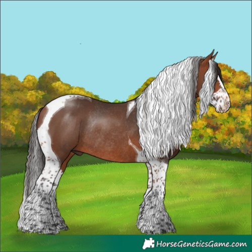 Horse Color:Bay Splash Tobiano Rabicano