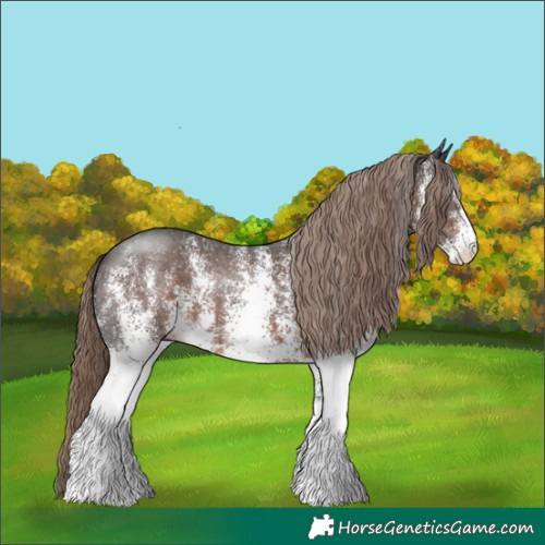 Horse Color:White Spotted Liver Chestnut 