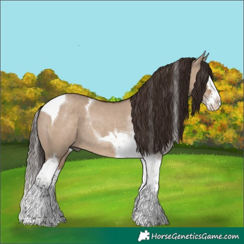 Horse Color:Liver Red Dun Splash Tobiano Rabicano