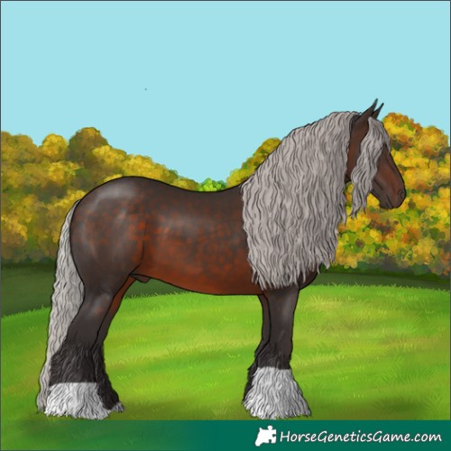 Horse Color:Silver Brown