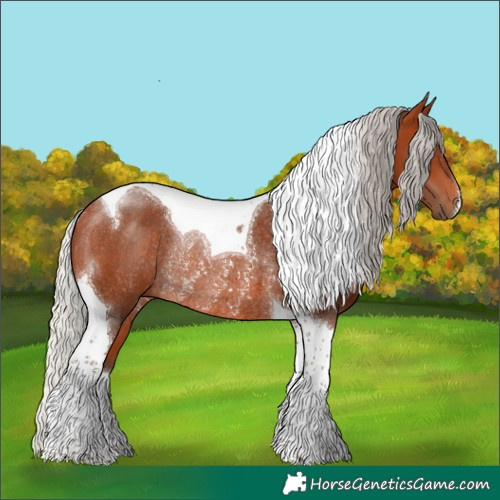 Horse Color:Silver Bay Tobiano Rabicano