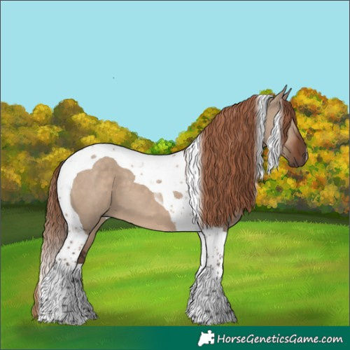 Horse Color:Liver Red Dun Tobiano 