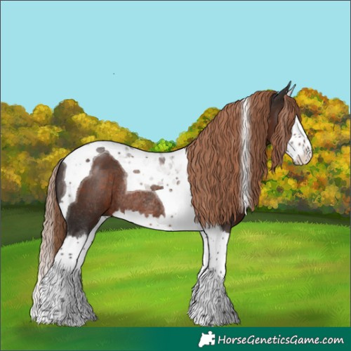Horse Color:Liver Chestnut Splash Tobiano Rabicano