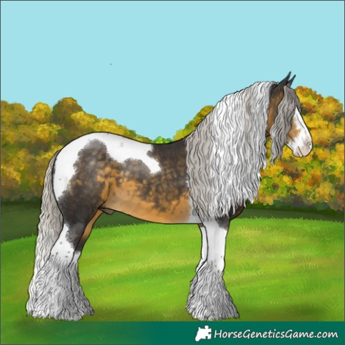 Horse Color:Silver Buckskin Splash Tobiano 