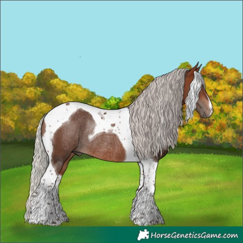 Horse Color:Silver Bay Tobiano Rabicano