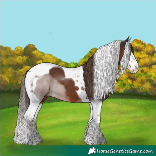 Horse Color:Liver Chestnut Splash Tobiano