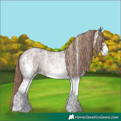 Horse Color:White Spotted Liver Red Roan Rabicano