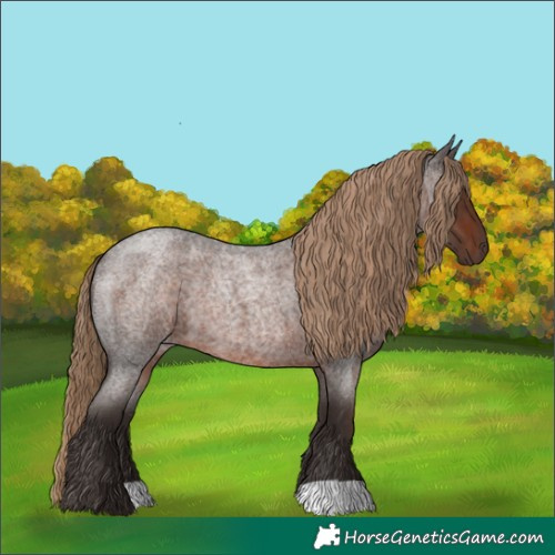 Horse Color:Liver Red Roan 