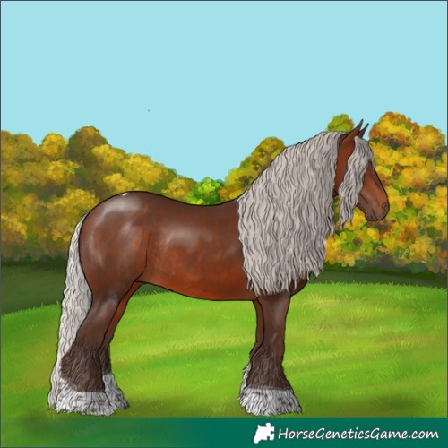 Horse Color:Silver Brown Tobiano Rabicano