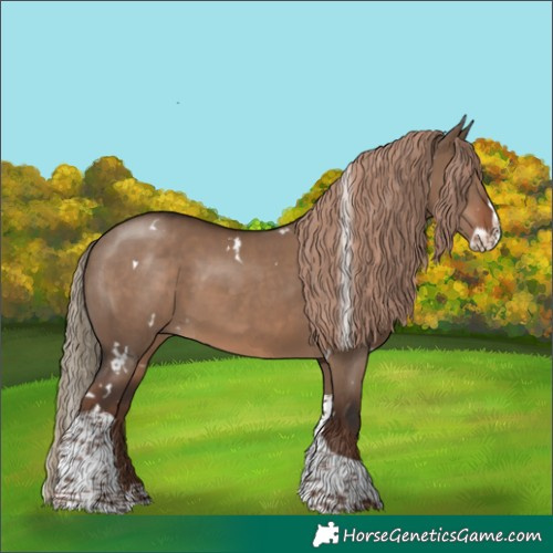 Horse Color:White Spotted Liver Red Dun Splash Tobiano Rabicano 