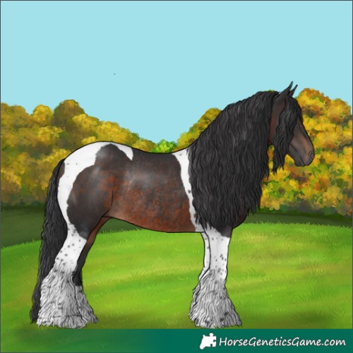 Horse Color:Brown Tobiano Rabicano 